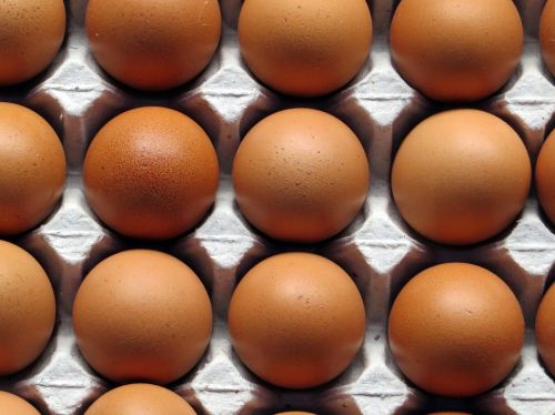 eggs egg basket brown