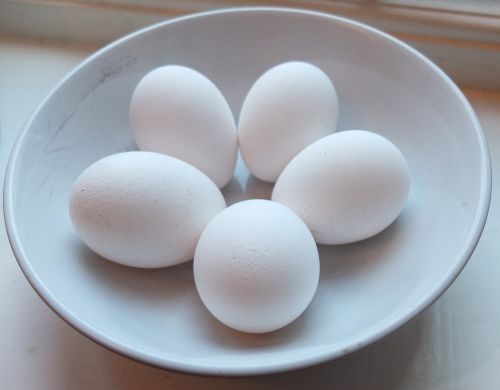 eggs dish white