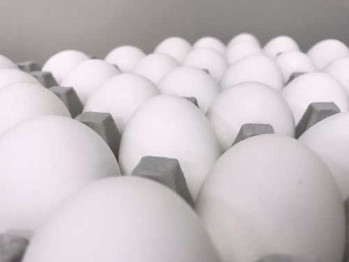 eggs macro white
