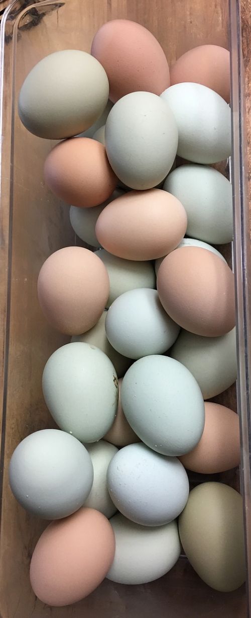 eggs farm fresh