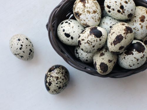 eggs quail products