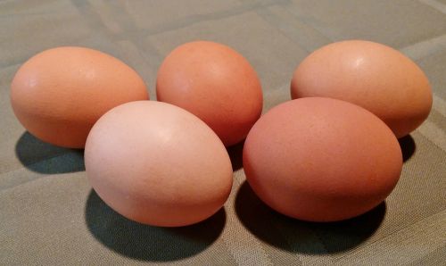eggs egg food