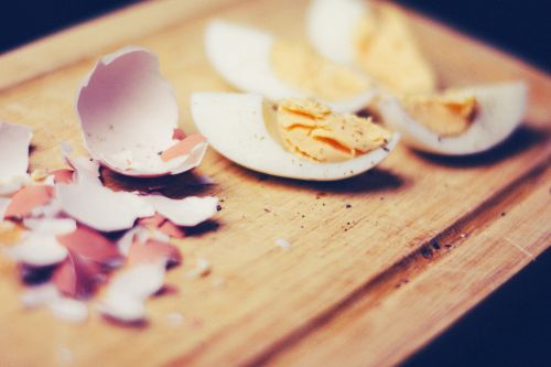 eggs shells food