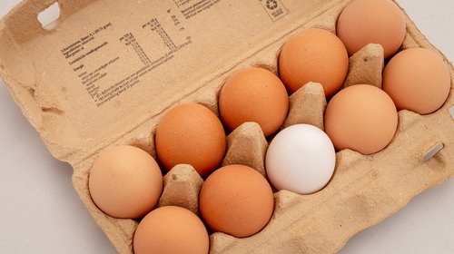 eggs  ten  box