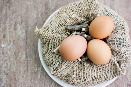 eggs  hen  health