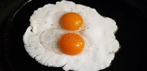 eggs  breakfast  egg