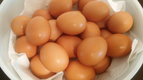 eggs food egg basket