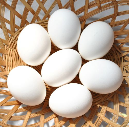 eggs white basket