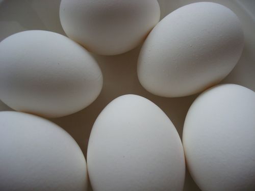 eggs white breakfast