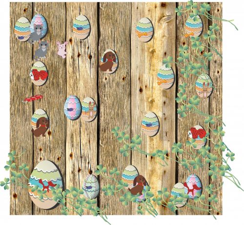 Eggs On Wooden Wall