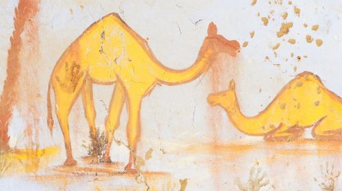 egypt camel africa