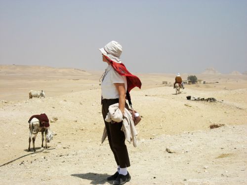 egypt desert camel