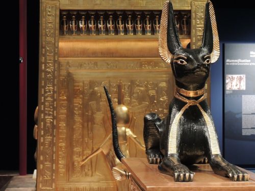 egypt sacred cat