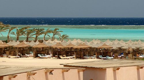 egypt marsa alam reef