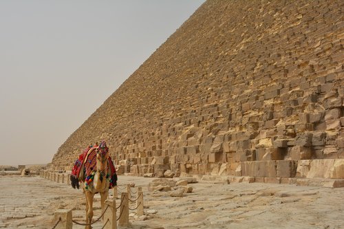 egypt  giza  pyramids