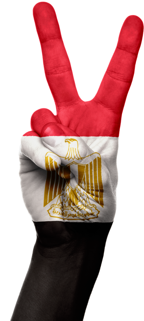 egypt flag hand
