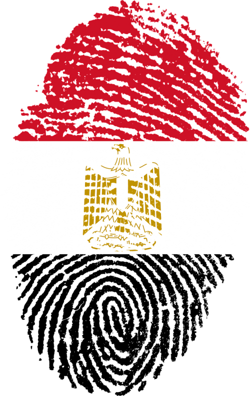egypt flag fingerprint