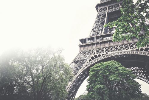 eiffel tower architecture trees