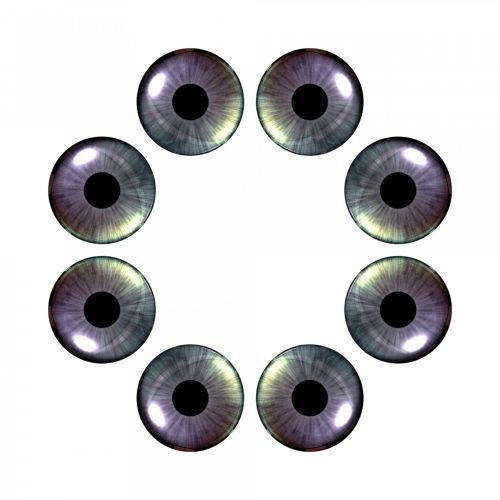 Eight Eyes