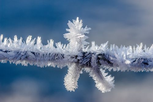 eiskristalle frost frozen
