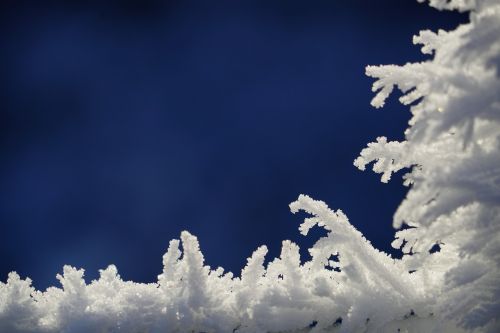 eiskristalle hoarfrost snow crystals