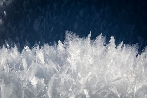 eiskristalle nature frozen