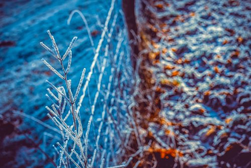 eiskristalle  frost  frozen