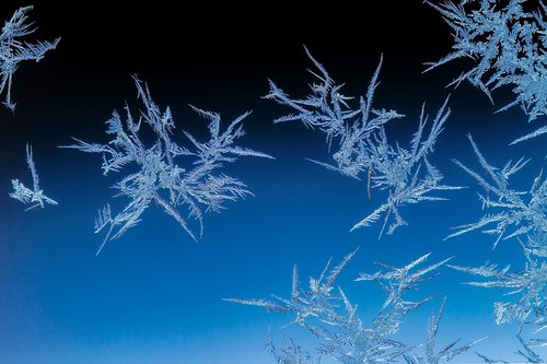 eiskristalle  winter  frost