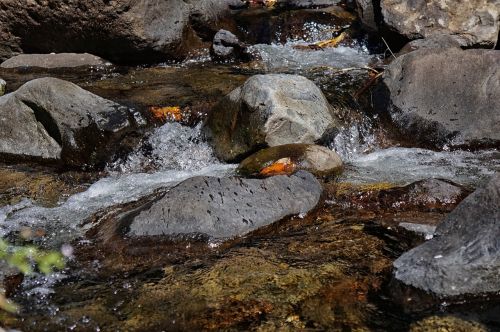 el salvador the impossible water