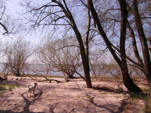 elbe nature conservation riparian zone