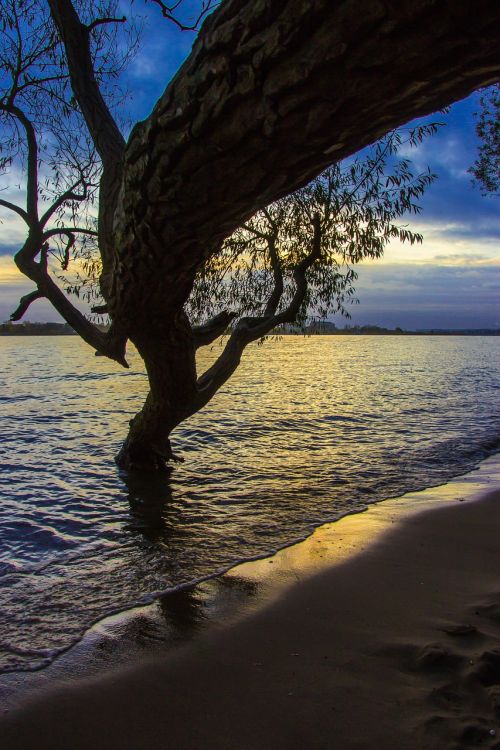 elbe beach elbe beach