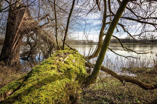 elbe elbufer river