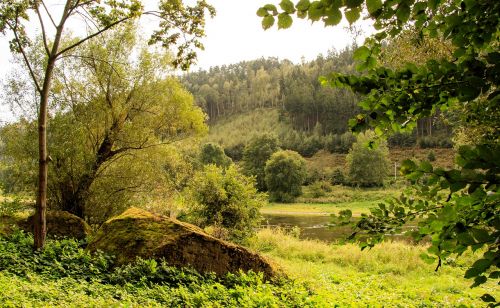 elbe elbe valley nature