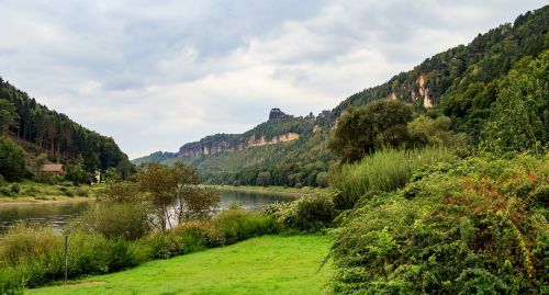 elbe elbe valley nature