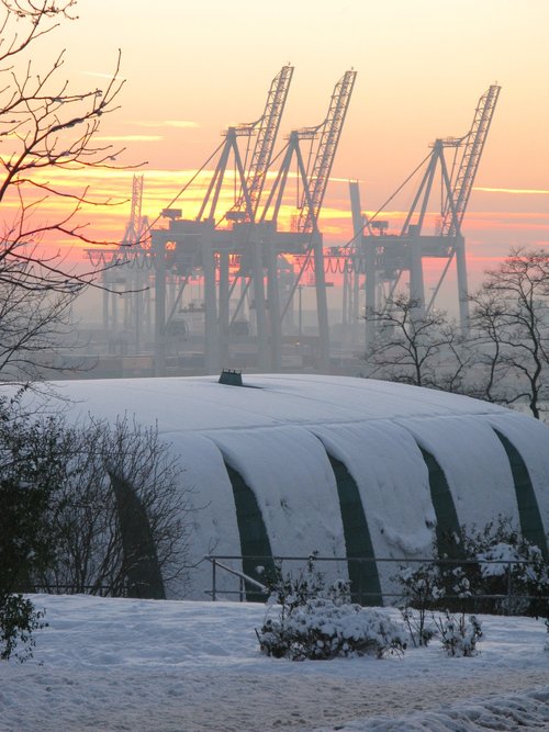 elbe  cranes  winter