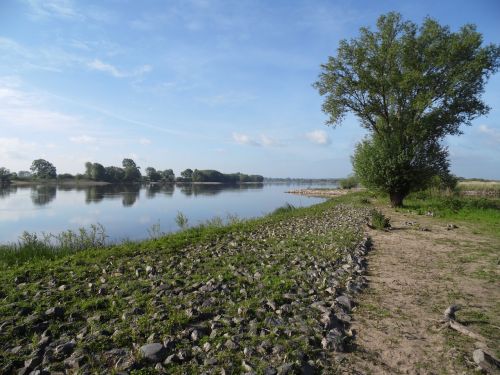 elbtalaue elbe river