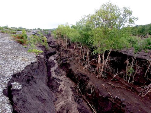 element ravine fault