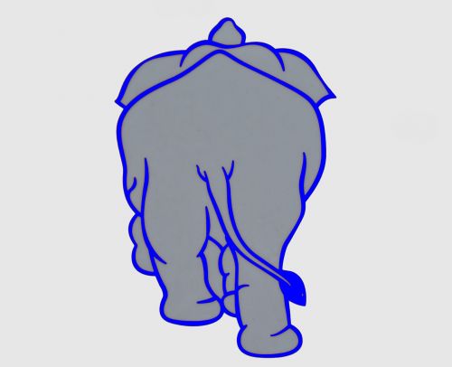 elephant animal vector graphic