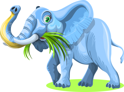 elephant grass eating