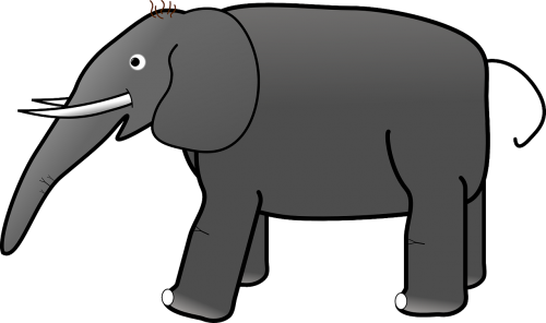 elephant gray grey