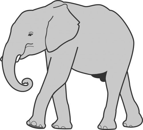 elephant animals mammal