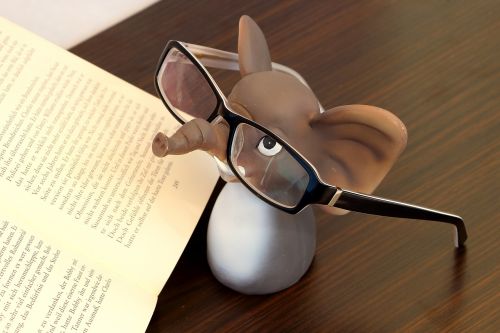 elephant glasses reading glasses