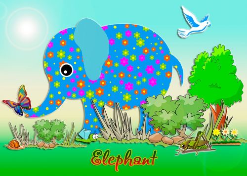 elephant greeting nature