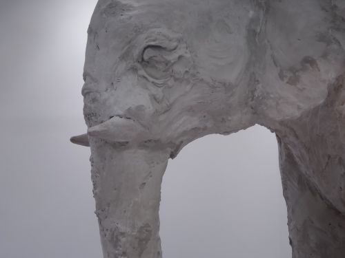 elephant sculpture white