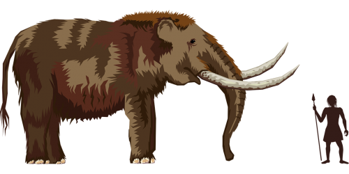 elephant mammoth mastodon