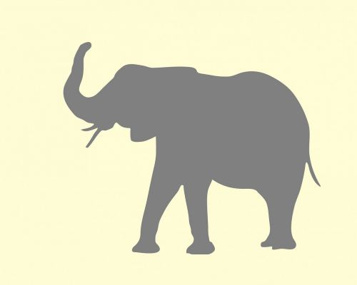 elephant animal silhouette