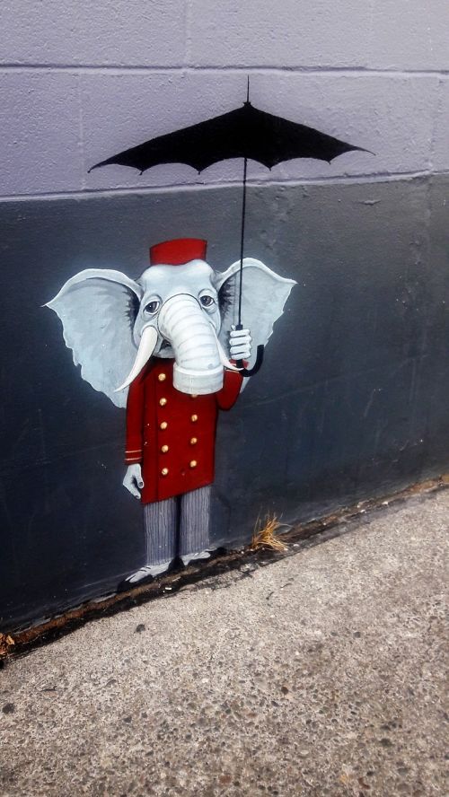 elephant street art unexpected