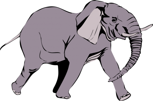 Large Elephant Stock Illustrations – 12,421 Large Elephant Stock  Illustrations, Vectors & Clipart - Dreamstime