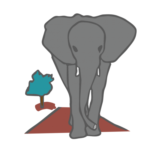 elephant road single