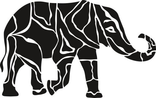 elephant animal proboscis